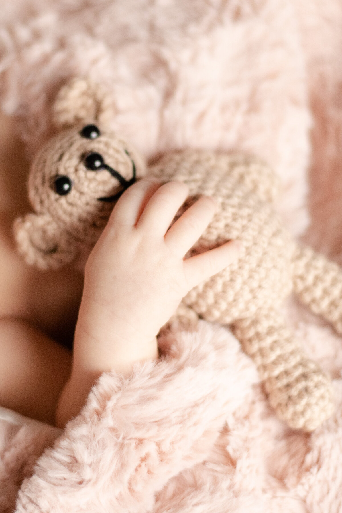 PaisleyNewborn_FullGallery-21