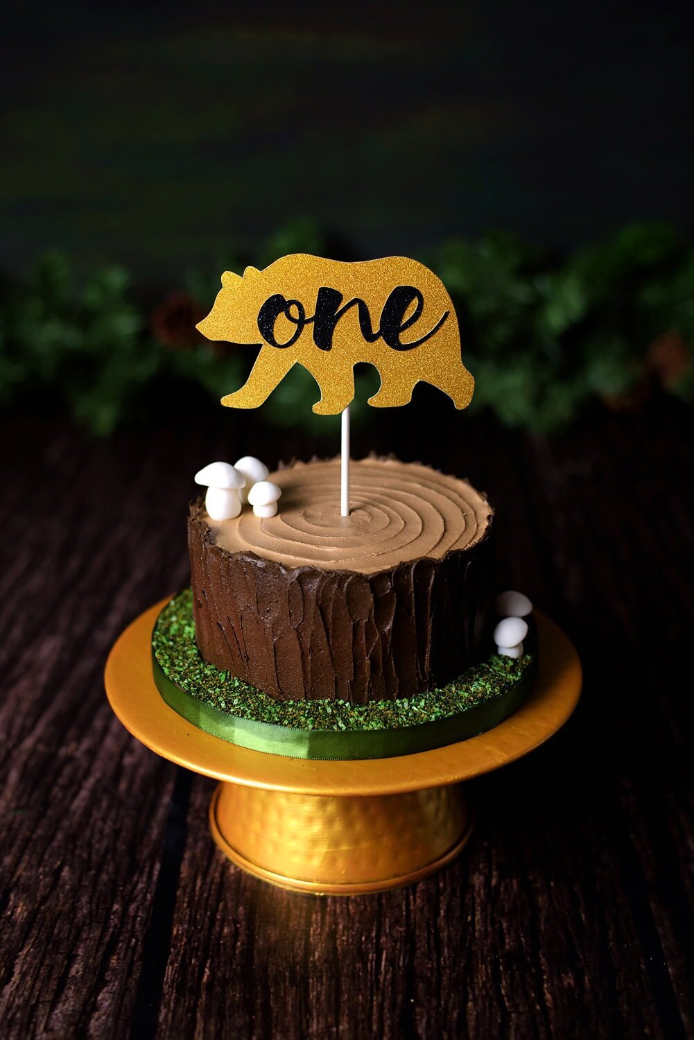 mobile-inhome-cakesmash-photography_vancouver-fraser-valley_boy-forest-nature-theme01