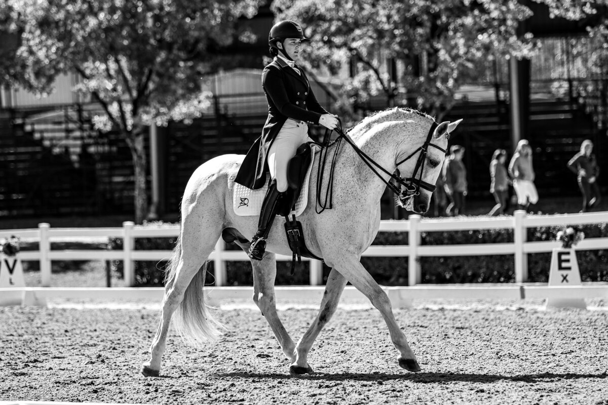 A dressage horse trotting in a black and white photo at the Region 3 Championships in Conyers, Georgia.