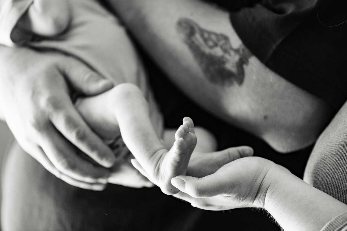 newborn portrait detail shot of hand holding baby feet