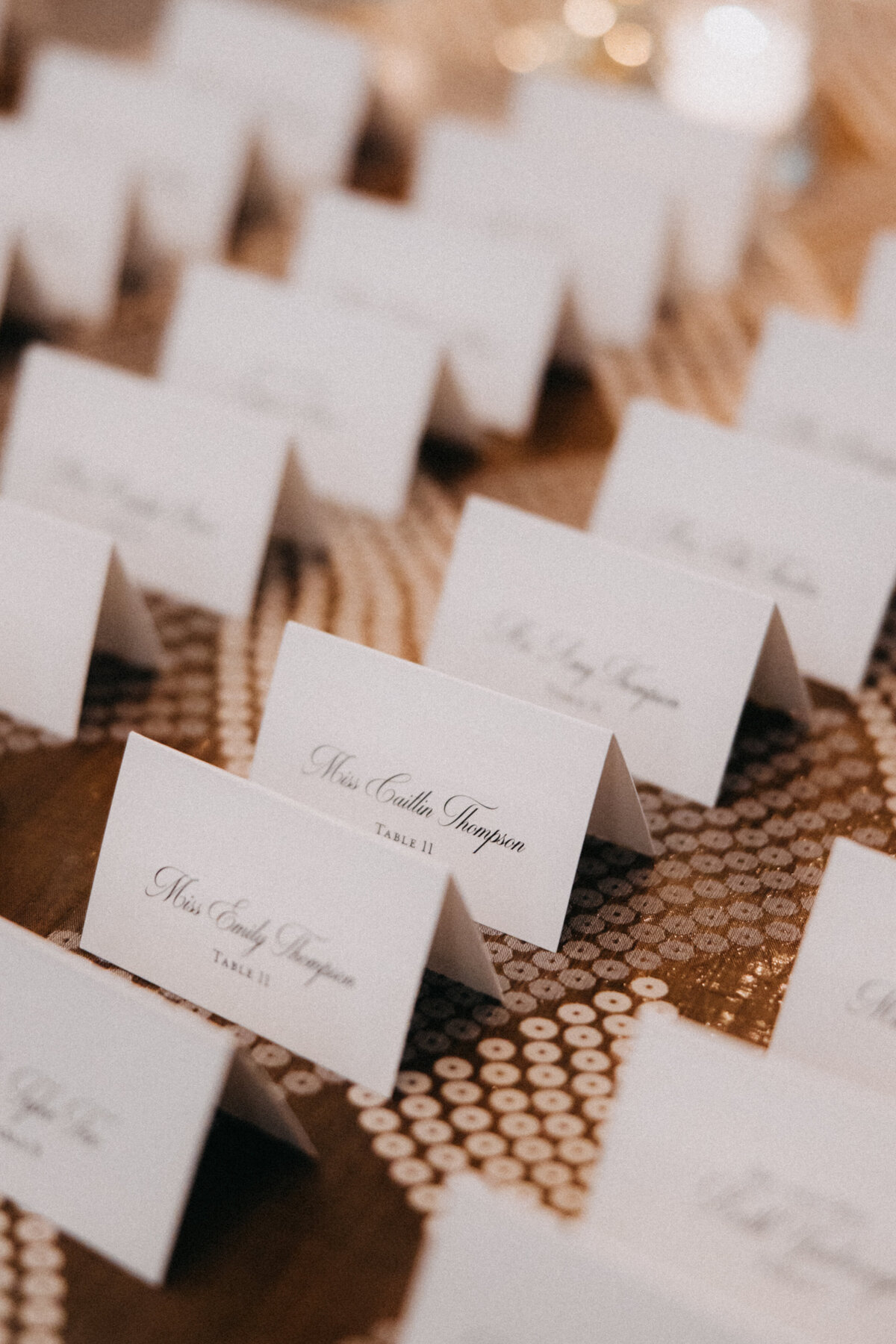 AliciaJake_Wedding_Image-481