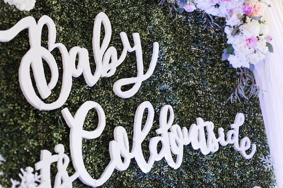 Winter Themed Baby Shower Ava Loren Design Event Designer Florist Amy Hutchinson Photography 7