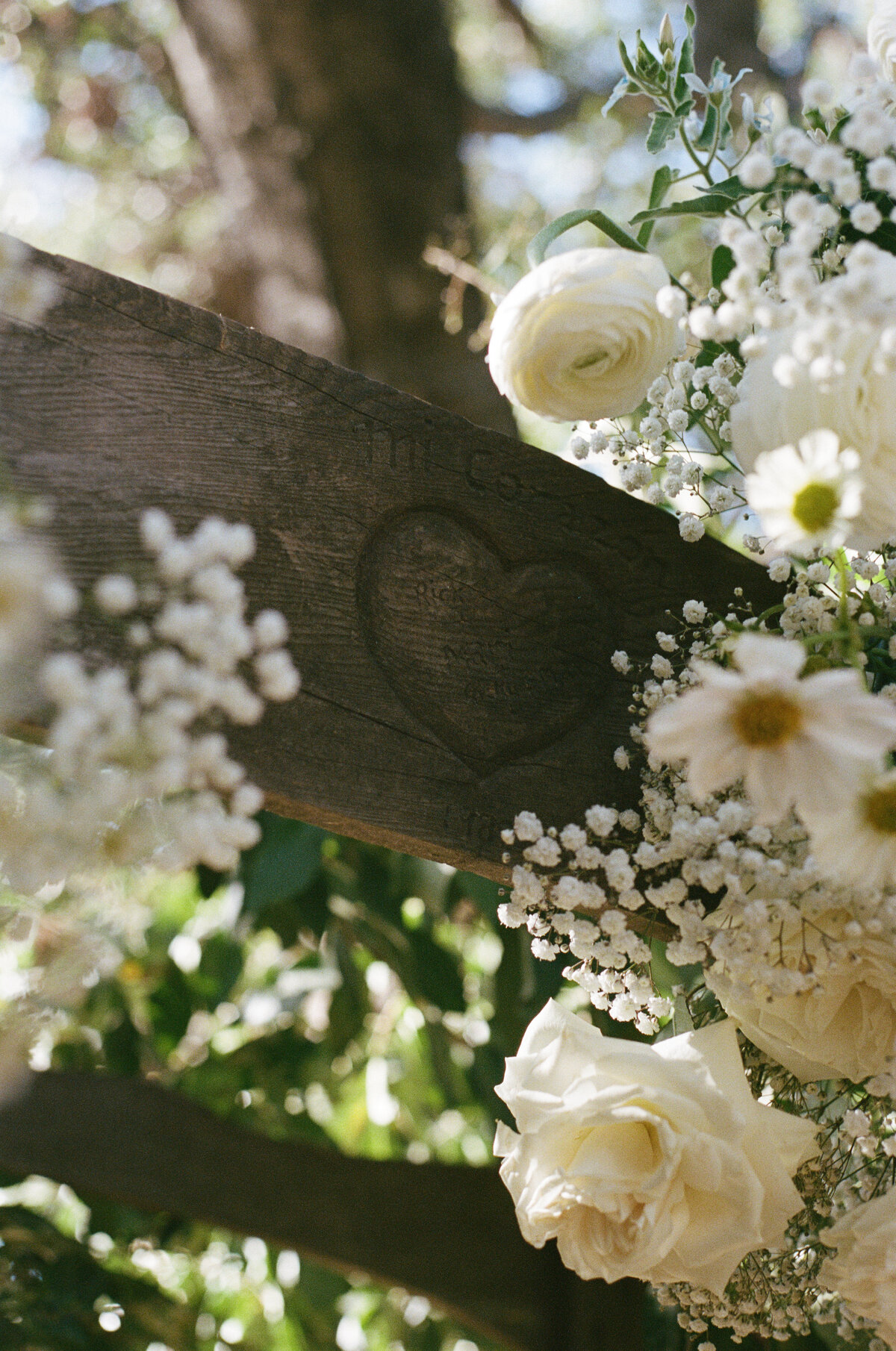 W + D Film 30