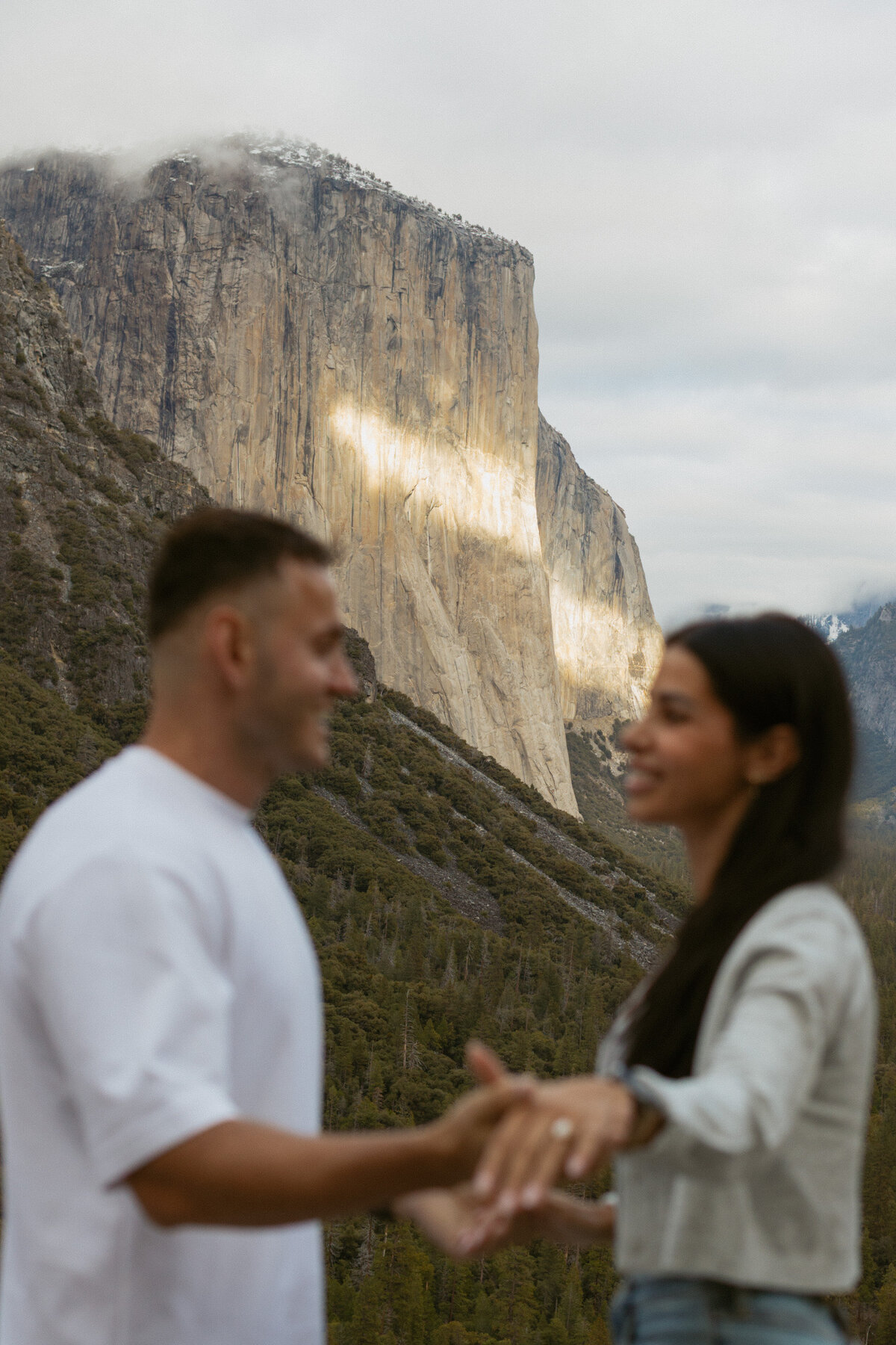Desert Born Studios - Yosemite - Proposal_-44