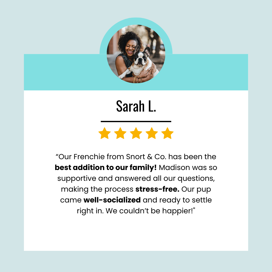 Social Media Templates - Set 1