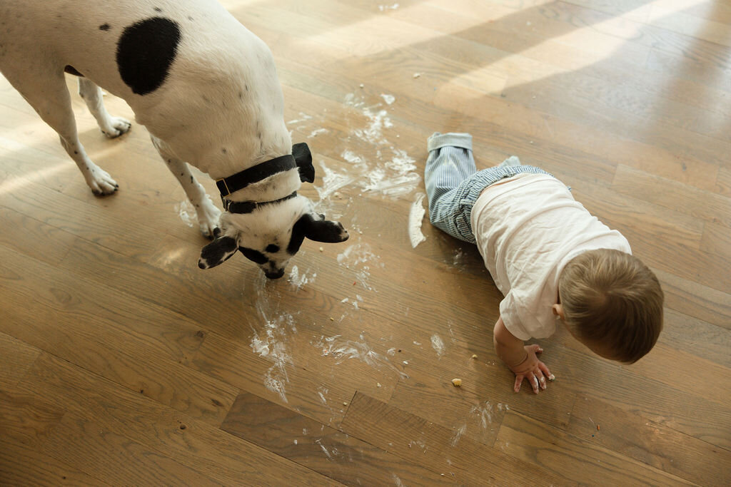 Grady1stbday-61