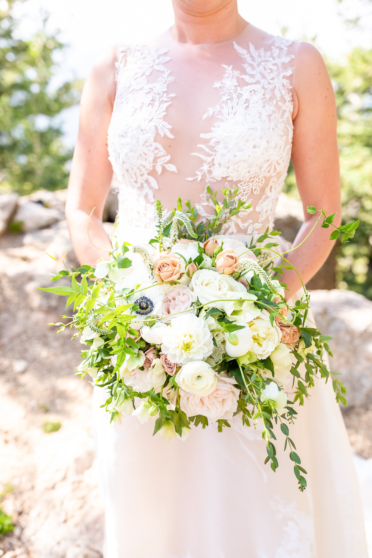 Bride's Bouquet, Cloud Camp