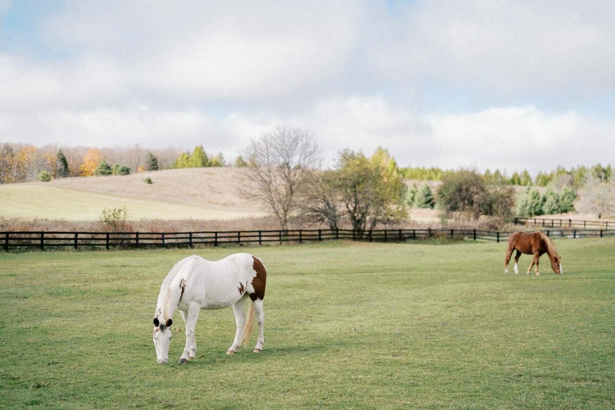 W11-Wedding-Photos-Caledon-Valley-Estate-Eleanor-and-Michael-2024-11-02-2500px-1001