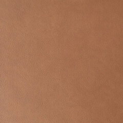 Butterscotch