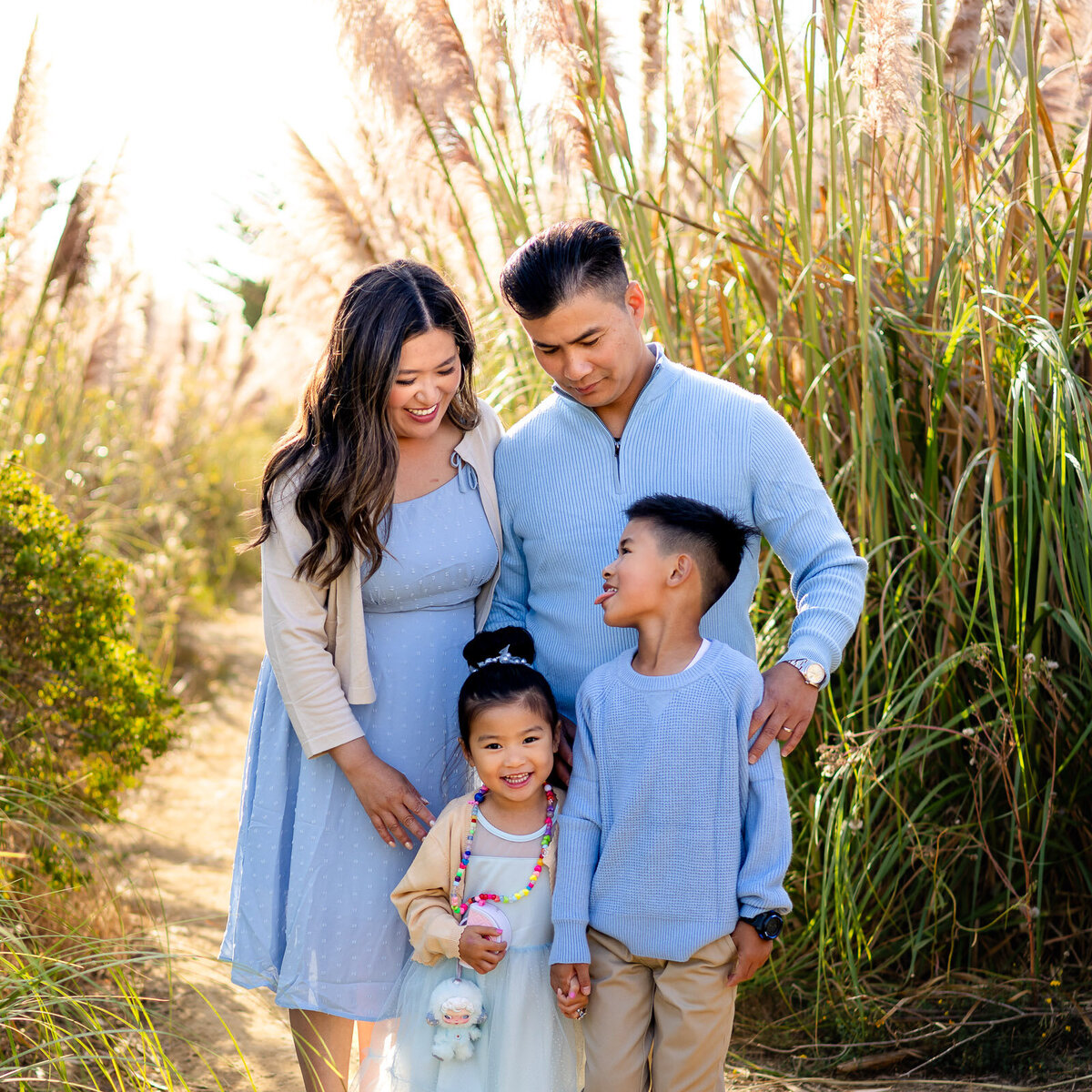 Family of four smiling together in a sunlit field with pampas grass – Bay Area Photographer Services – Ellobelle Photography