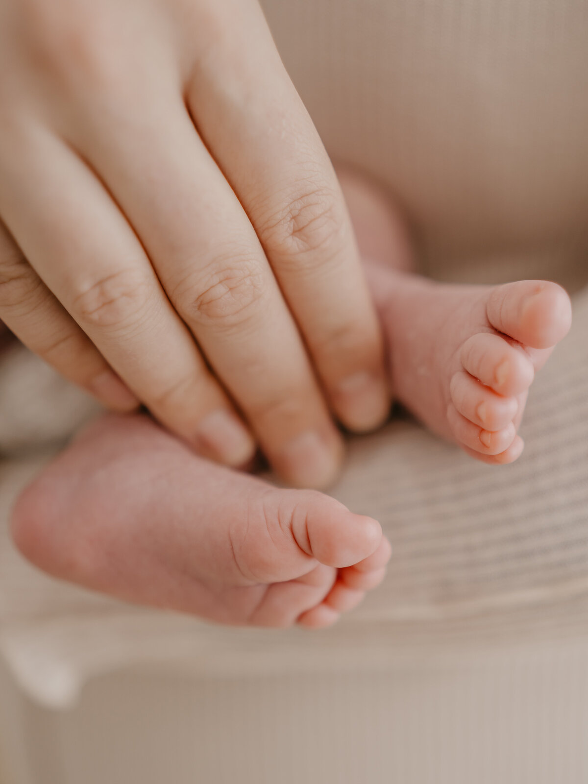 Welcome to the World  (62 of 146)