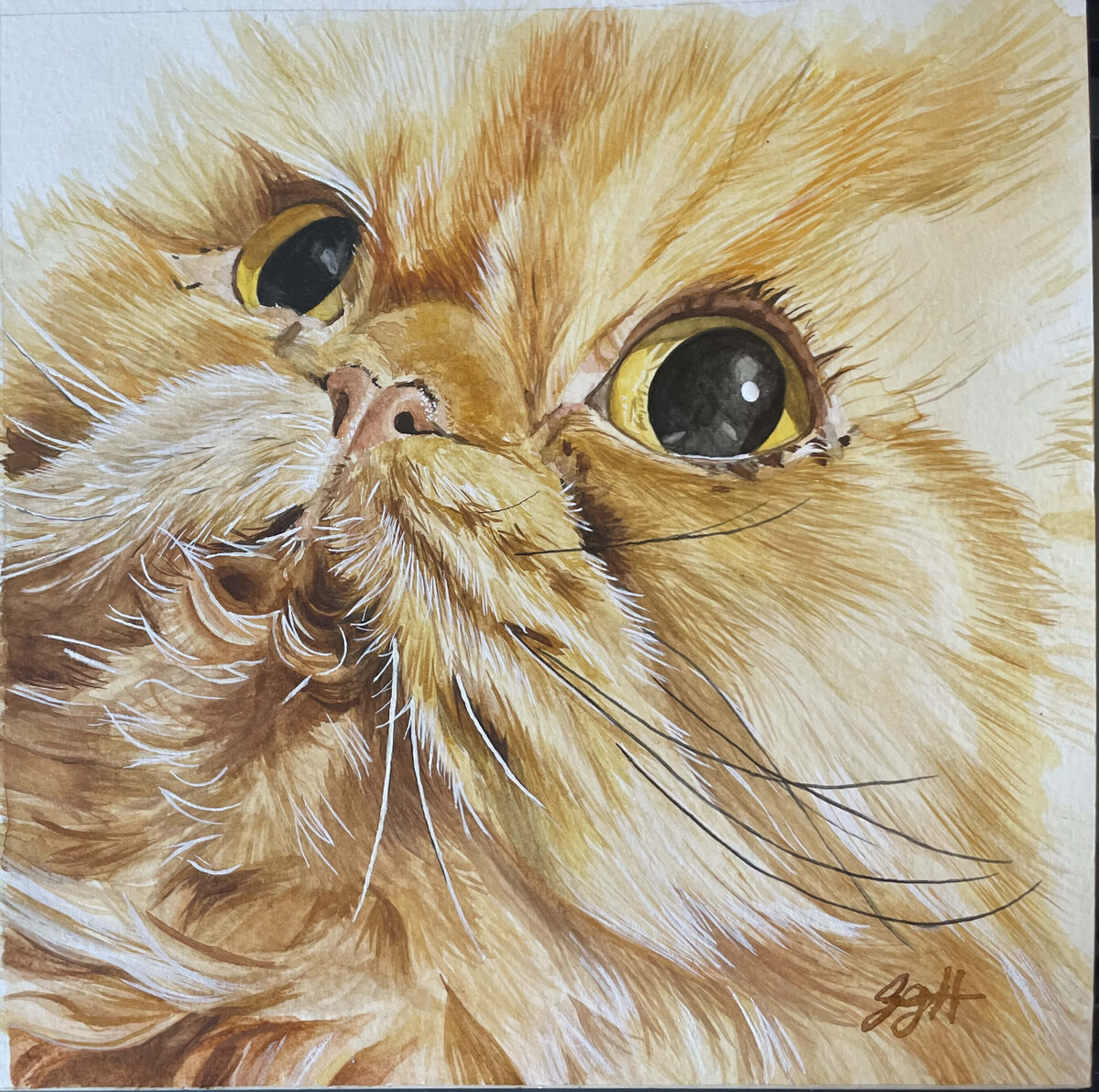 cat-custom-watercolor-pet-portrait