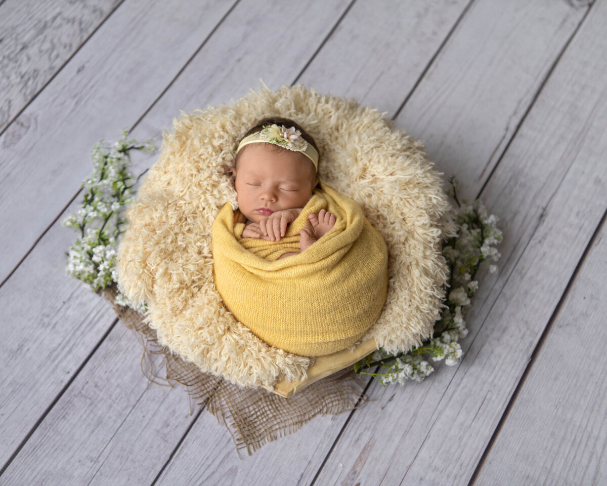 Bay-Area-newborn-photographer