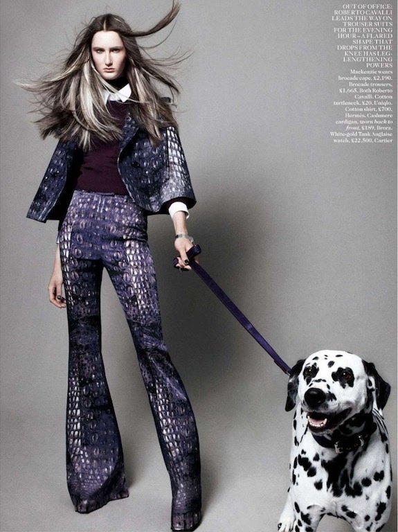 950a31ede6d8d05d029cc9c0117e3faa