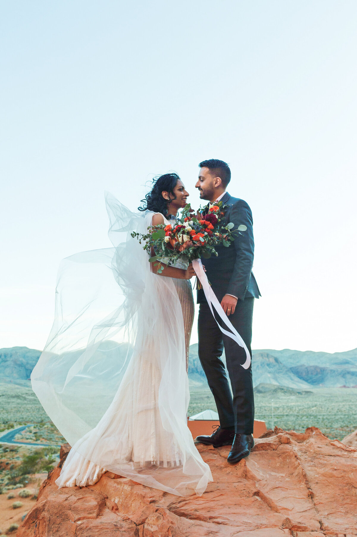 Cactus and Lace Las Vegas Desert Wedding Location Valley of Fire6