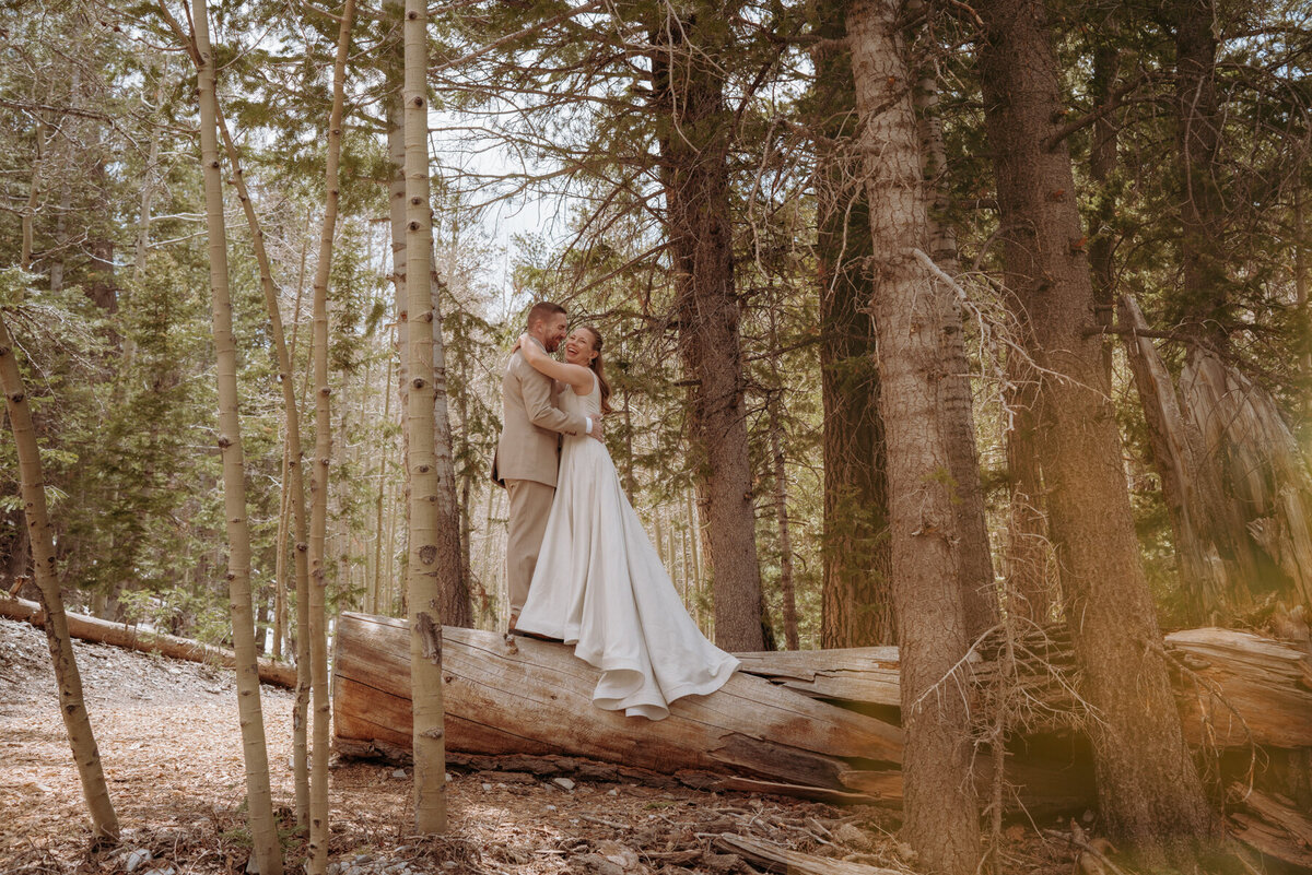 Chris-and-Marta-Lee-Canyon-Las-Vegas-Elopement-Wedding-Mt-Charleston-6