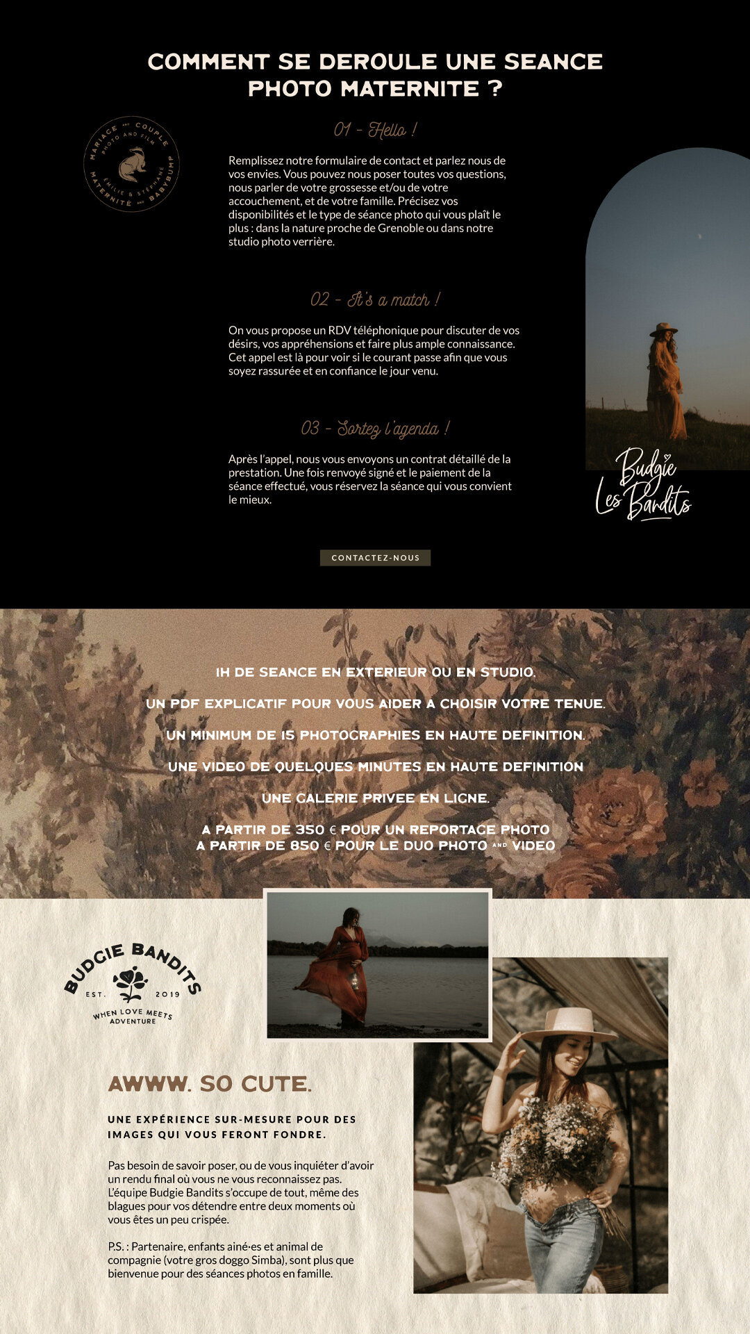 BudgieBandits_SiteWeb05