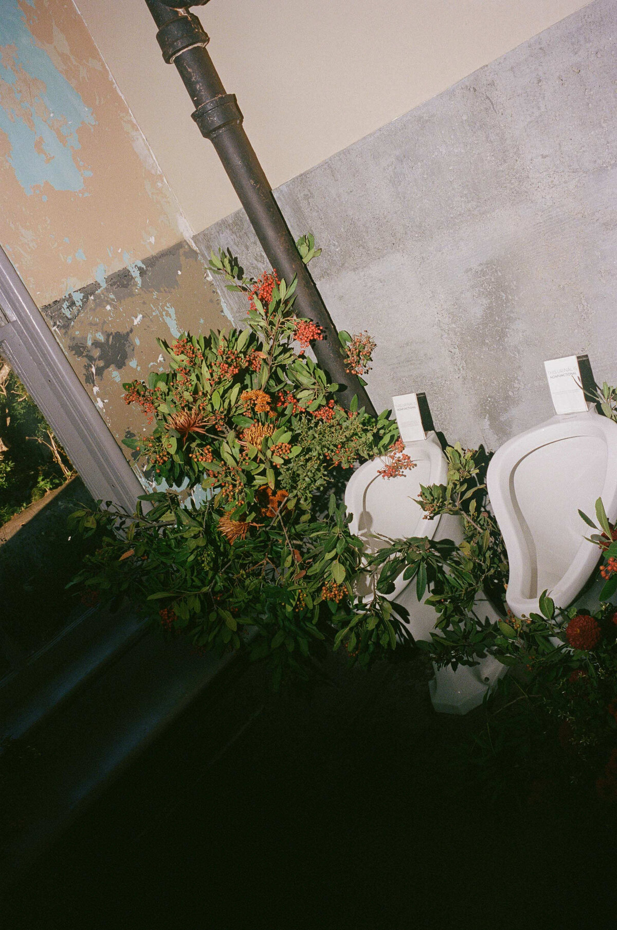 Tal+Will-Marin-Headlands-Center-for-the-Arts-Wedding-95
