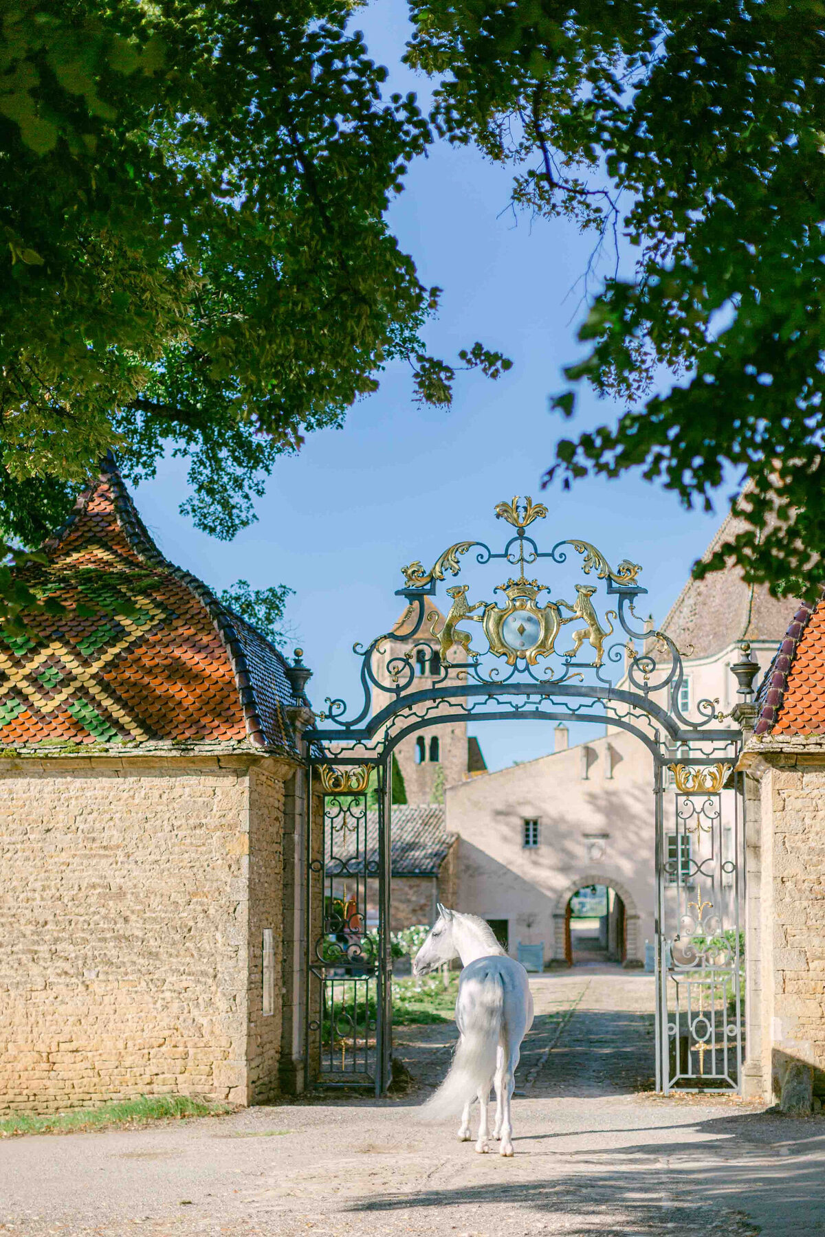 Château wedding surrounded by the fine vineyards of Burgundy