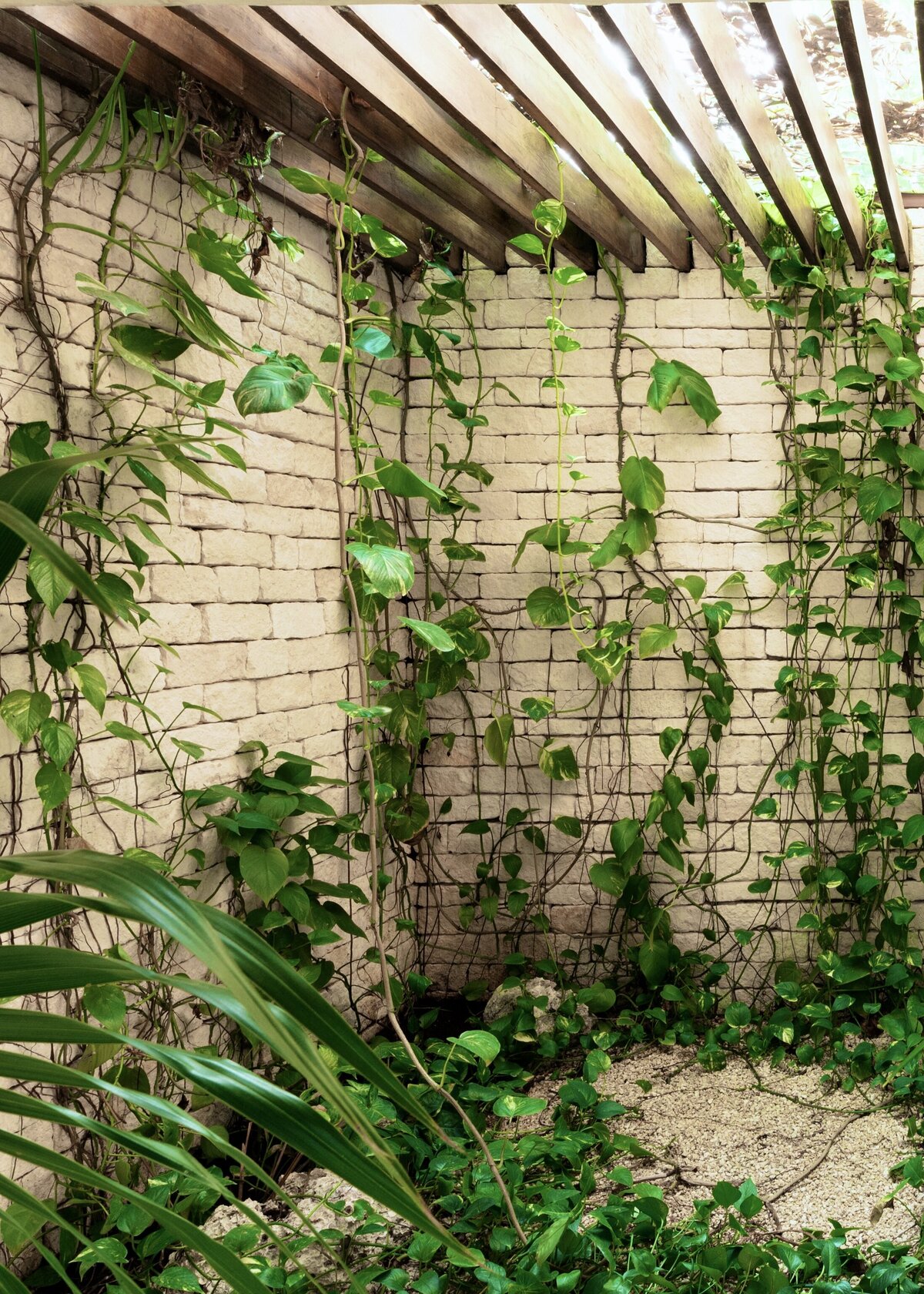 Palms Real Estate Group - Jungle Keva Tulum26