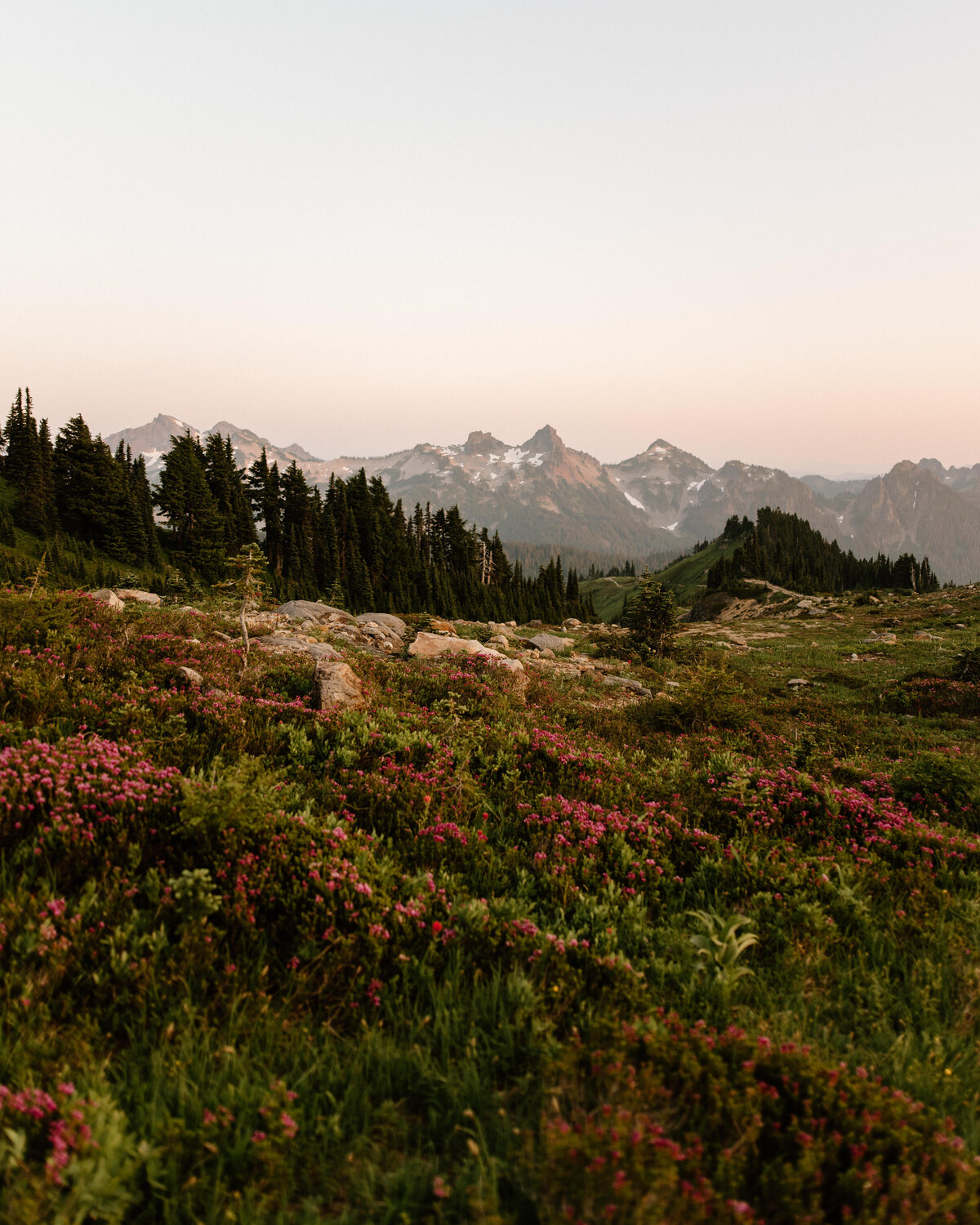 mount_rainier_golden_sunset_2