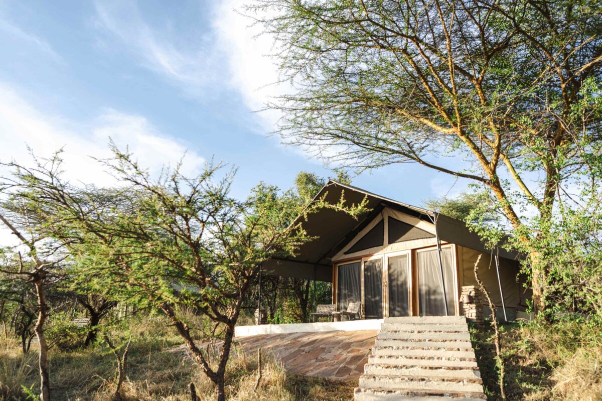 TAASA Accommodation - Tented Suite (4)