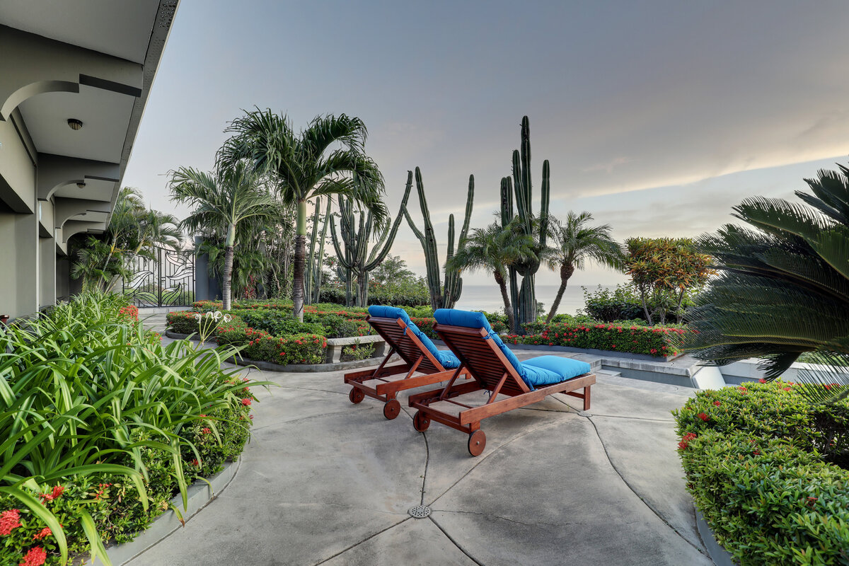 Orquidea Exterior 23