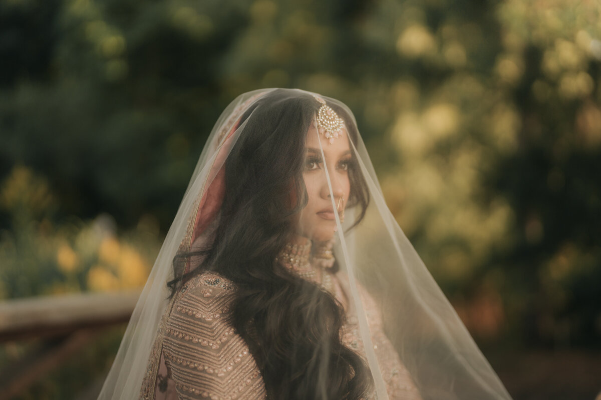 Visuals by Nihal - Aliyah and Humza - 77