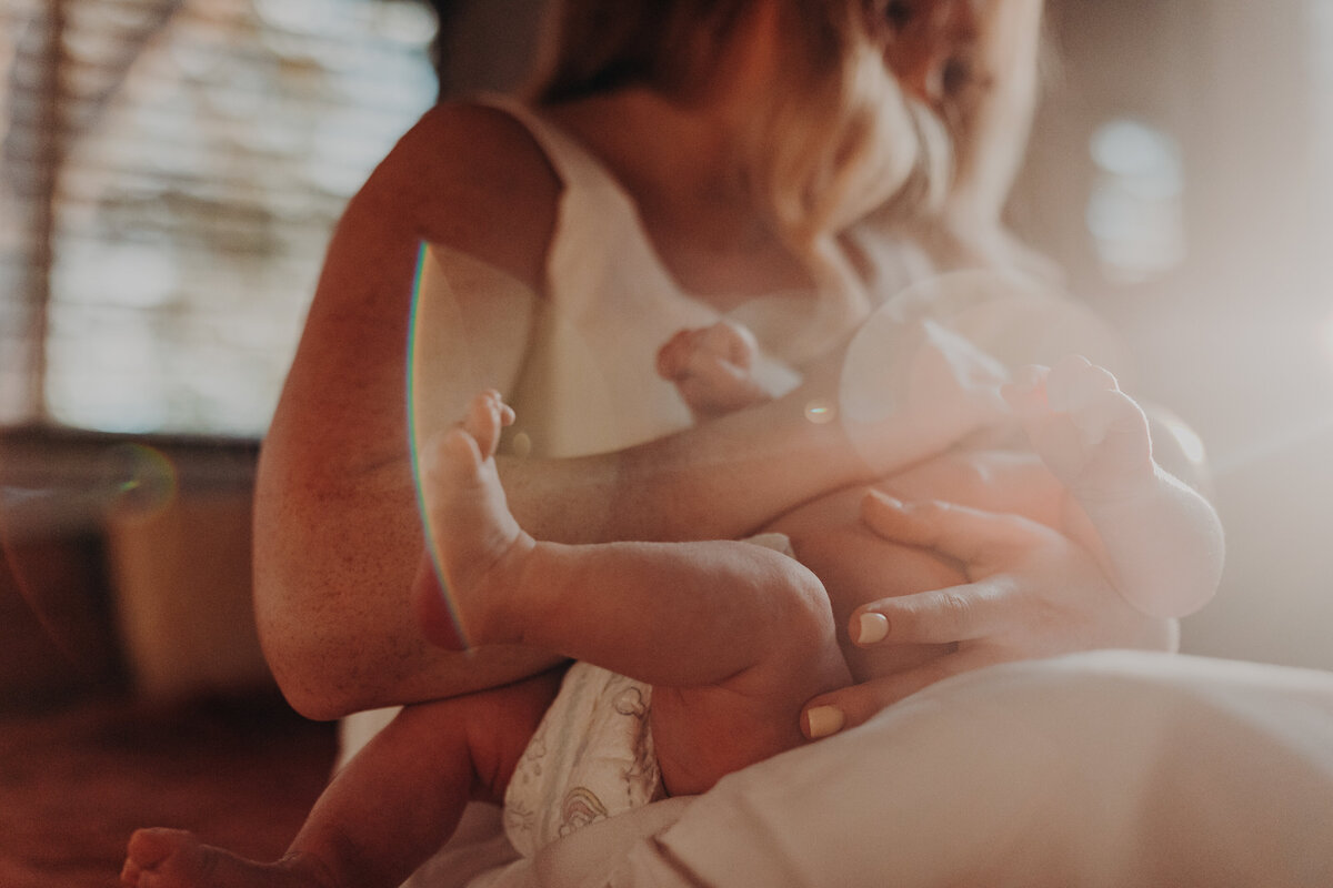 in home lifestyle newborn session sarasota bradenton-21