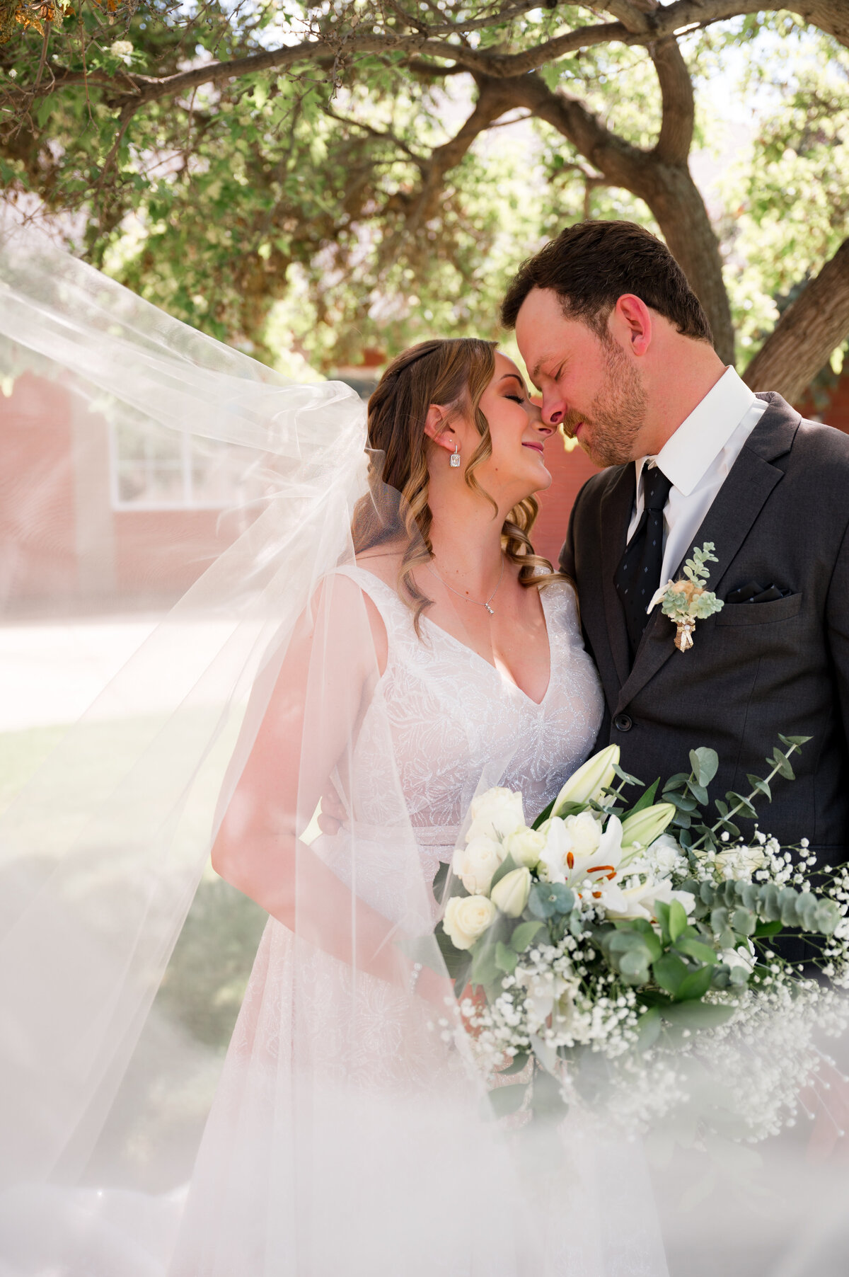 wedding couple standing in front of a tree kissing, the veil is wrapped around them creating a romantic wedding portrait