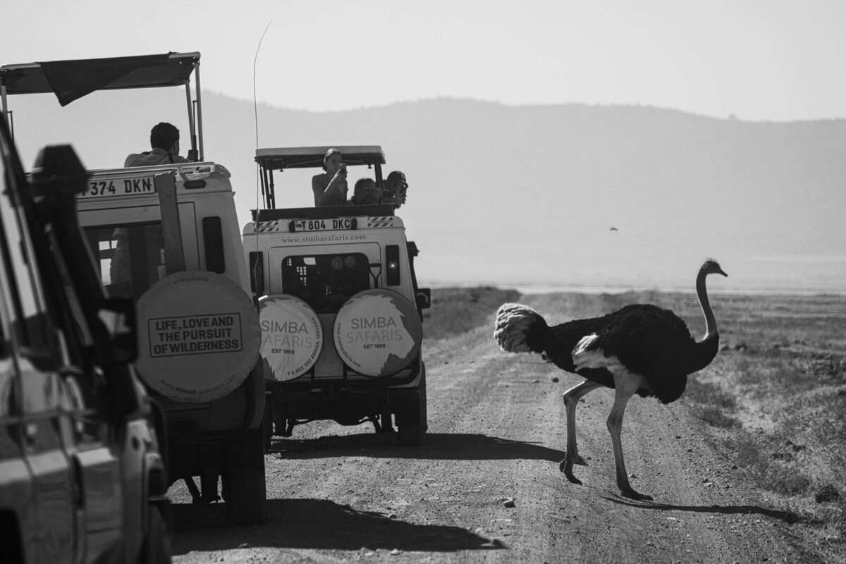 luxury-vacation-photographer-kirsten-lewis-arusha-tanzania060