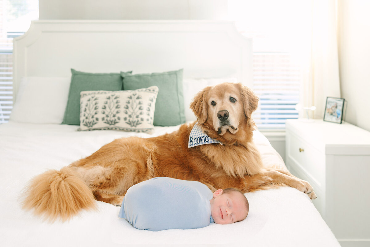 Hemans Newborn - Hudson-38
