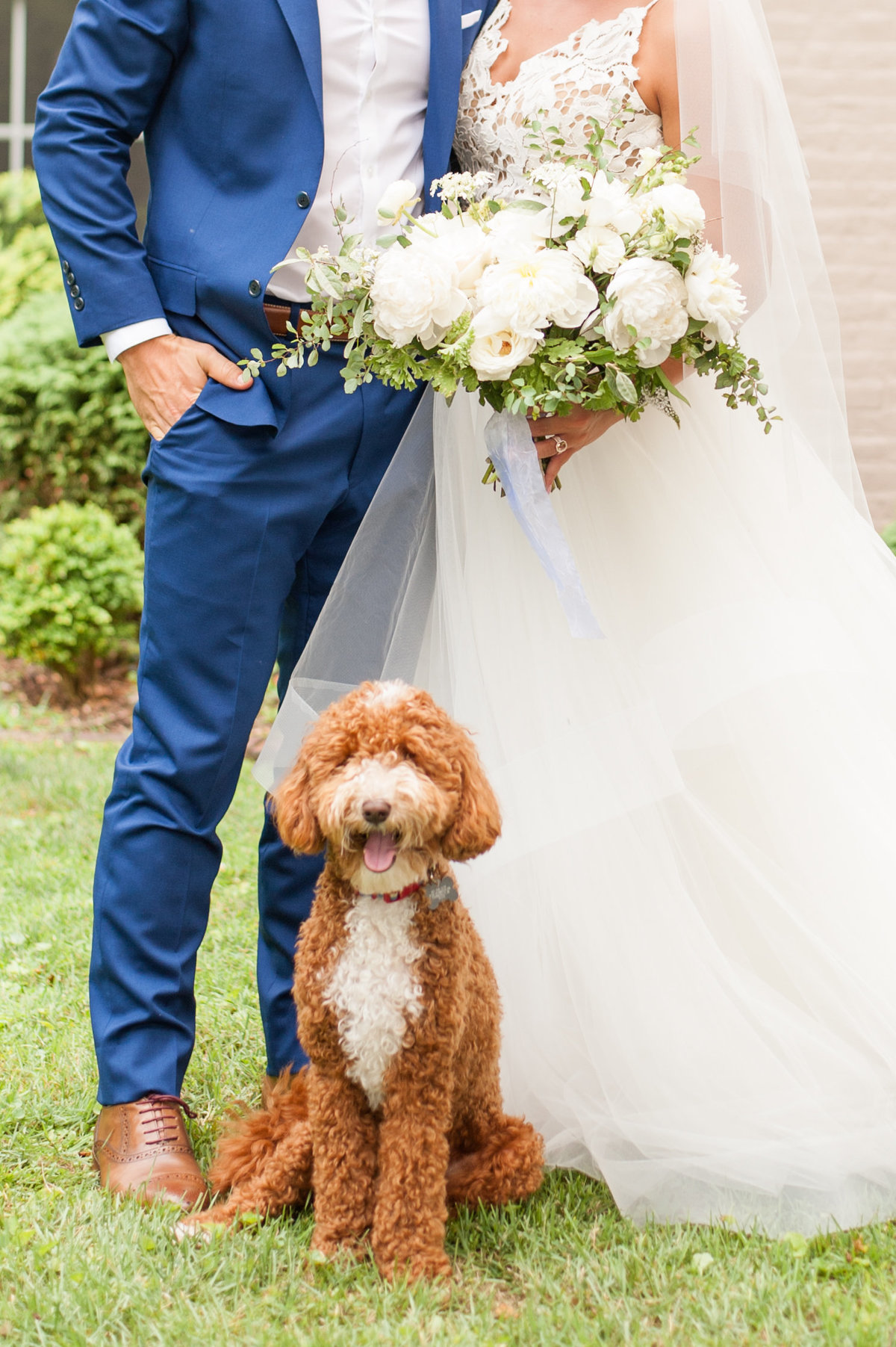 Bride and groom with goldendoodle