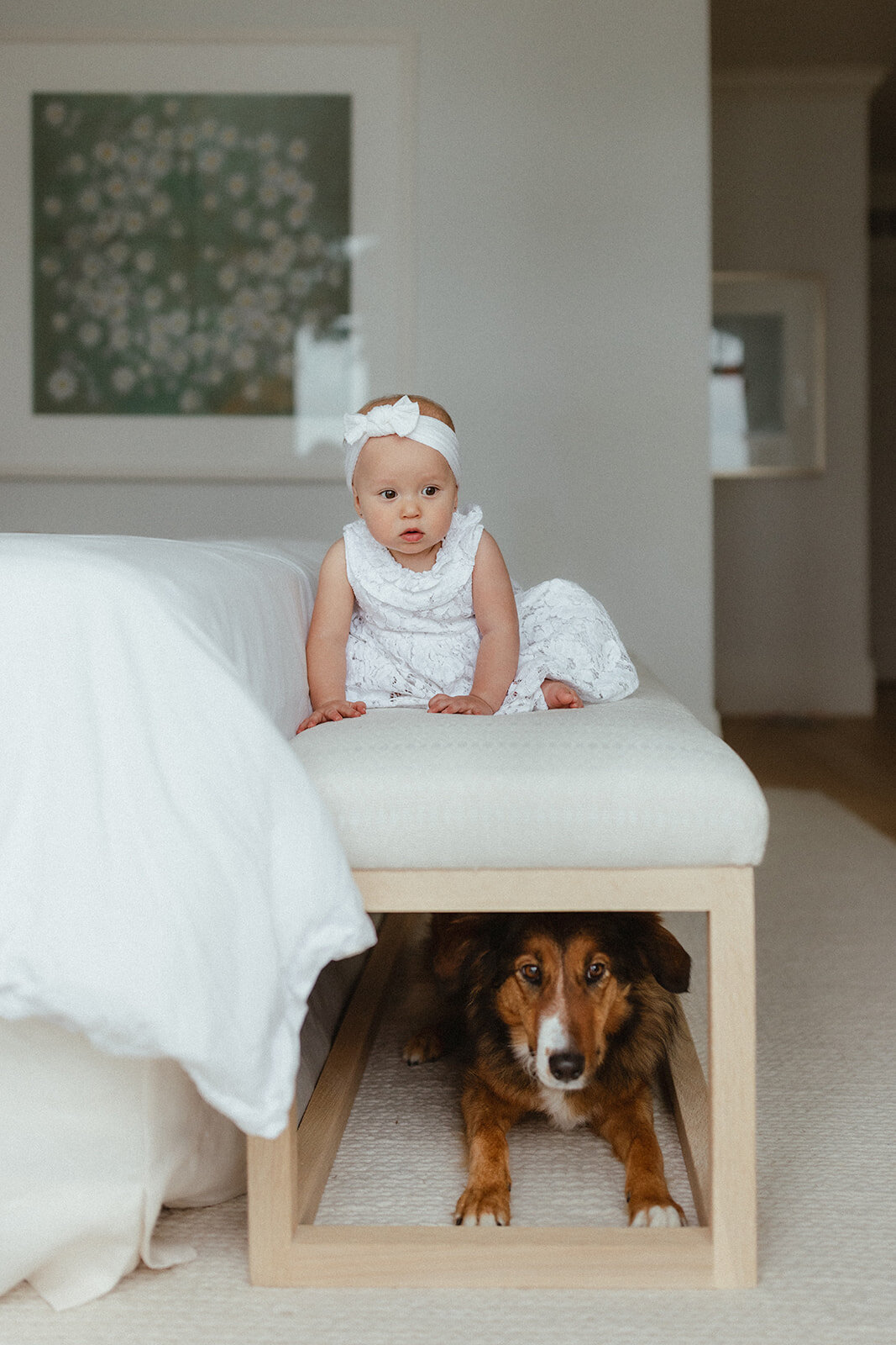 family-baby-newborn-sunshinecoast-love-emotive-dog
