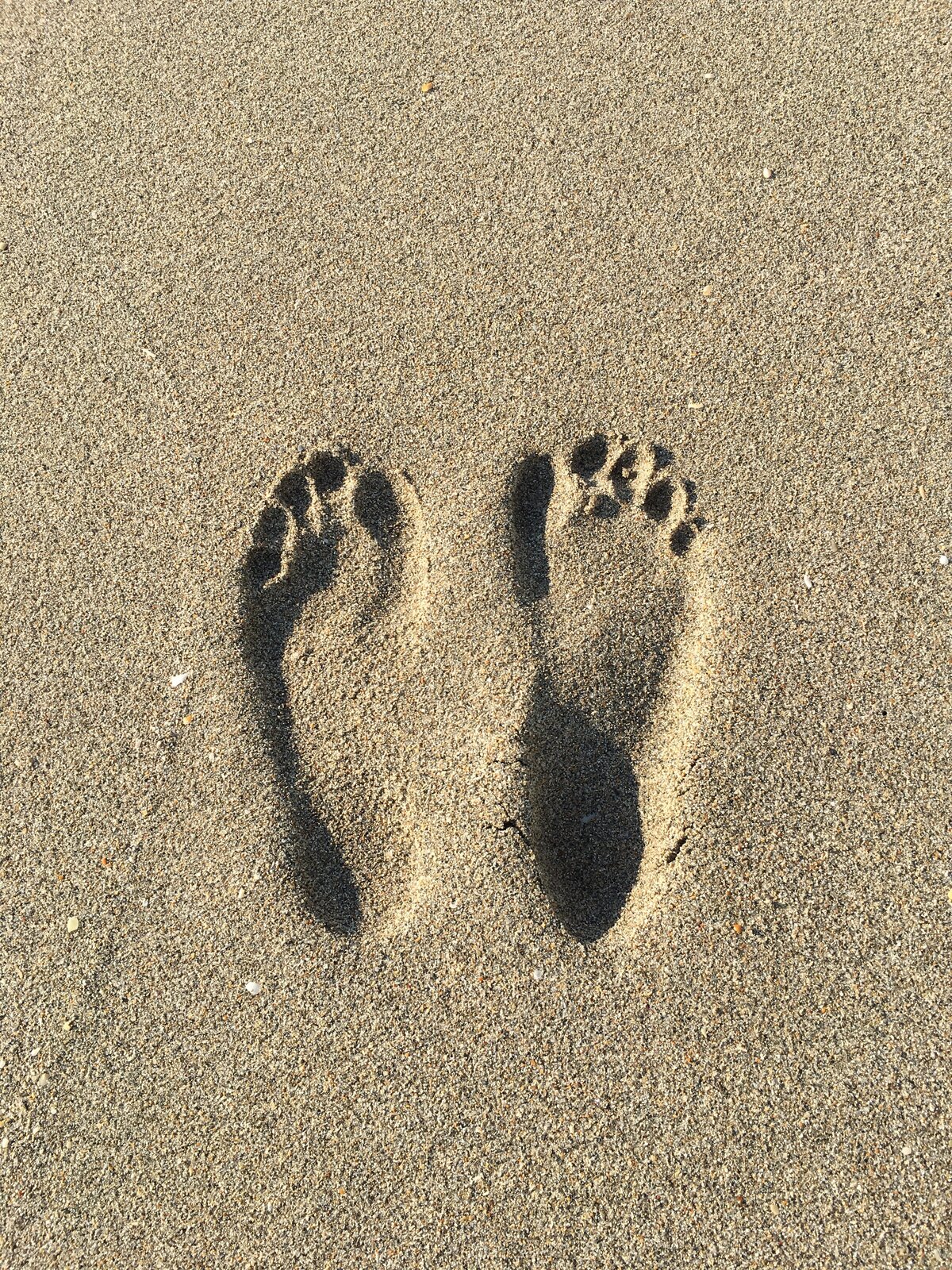 a.My Footprint