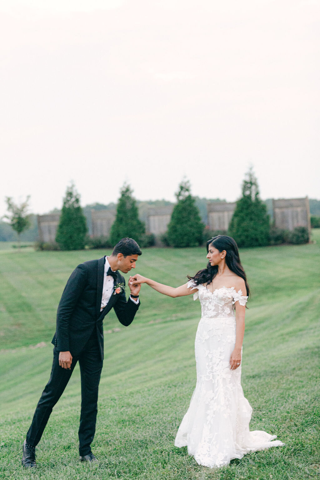 groom kisses bride's hand