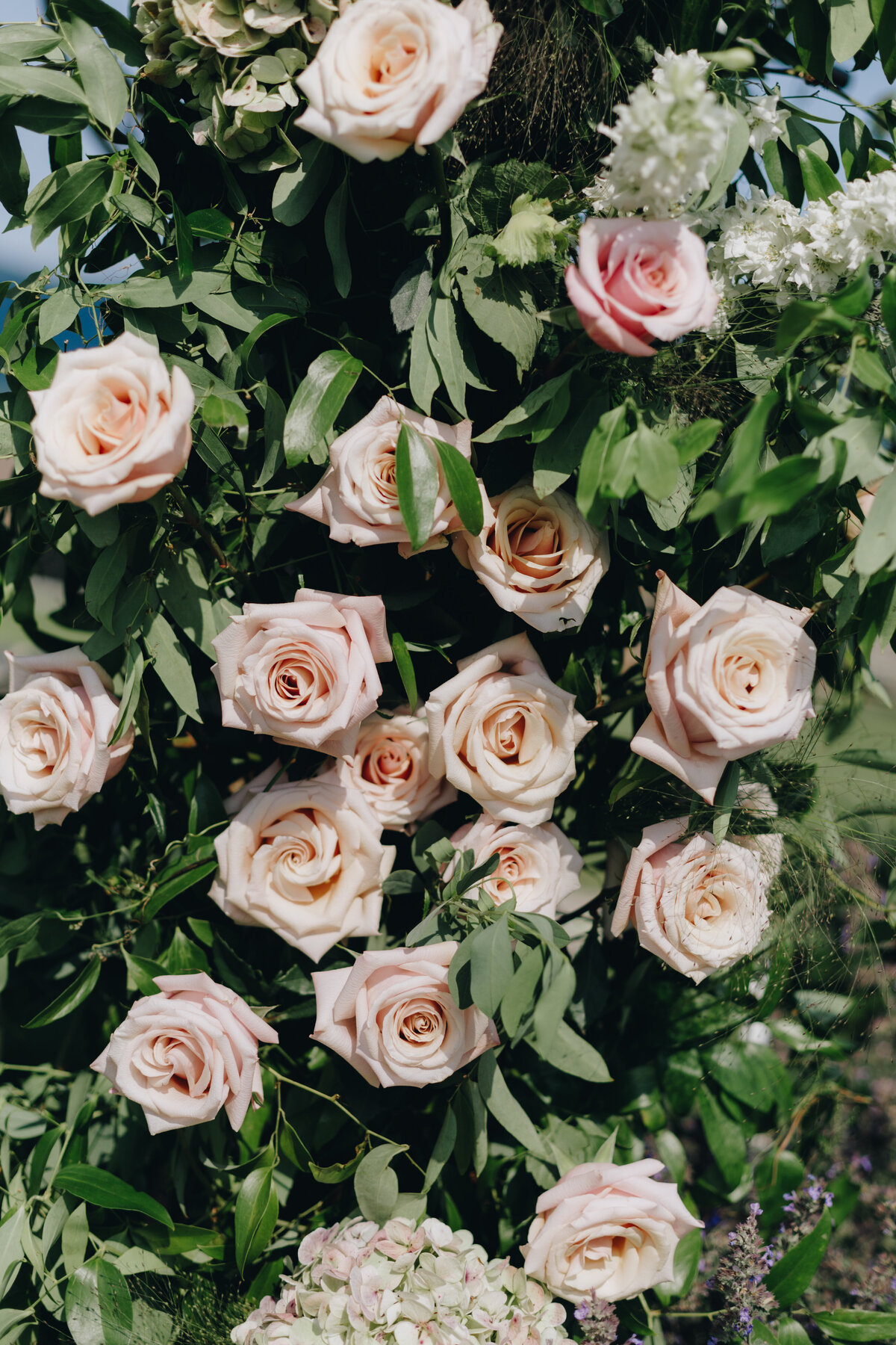 shana&jeffweddinggoldwingphotography-626