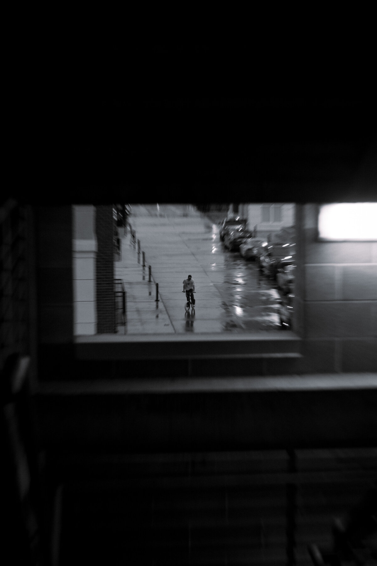 DknCrmn-316