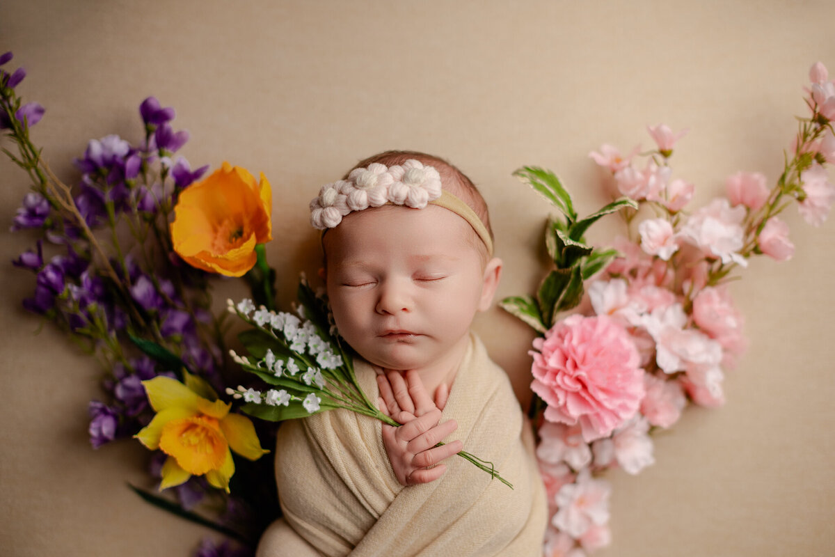 NWA newborn photographer, newborn portraits NW Arkansas