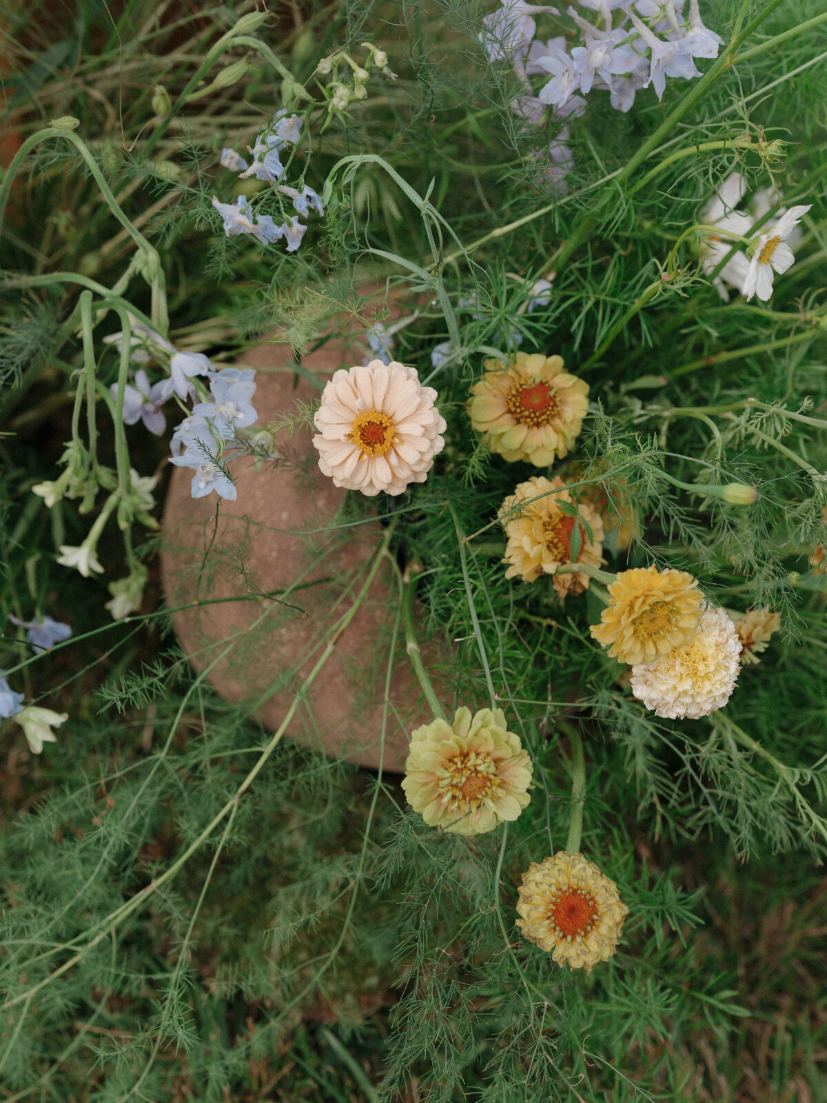 Sophisticated editorial wedding photography capturing fashion photography excellence at Lion Rock Farm destination venue. Lauren Alatriste creates luxury wedding imagery that showcases both artistic vision and genuine emotional authenticity.