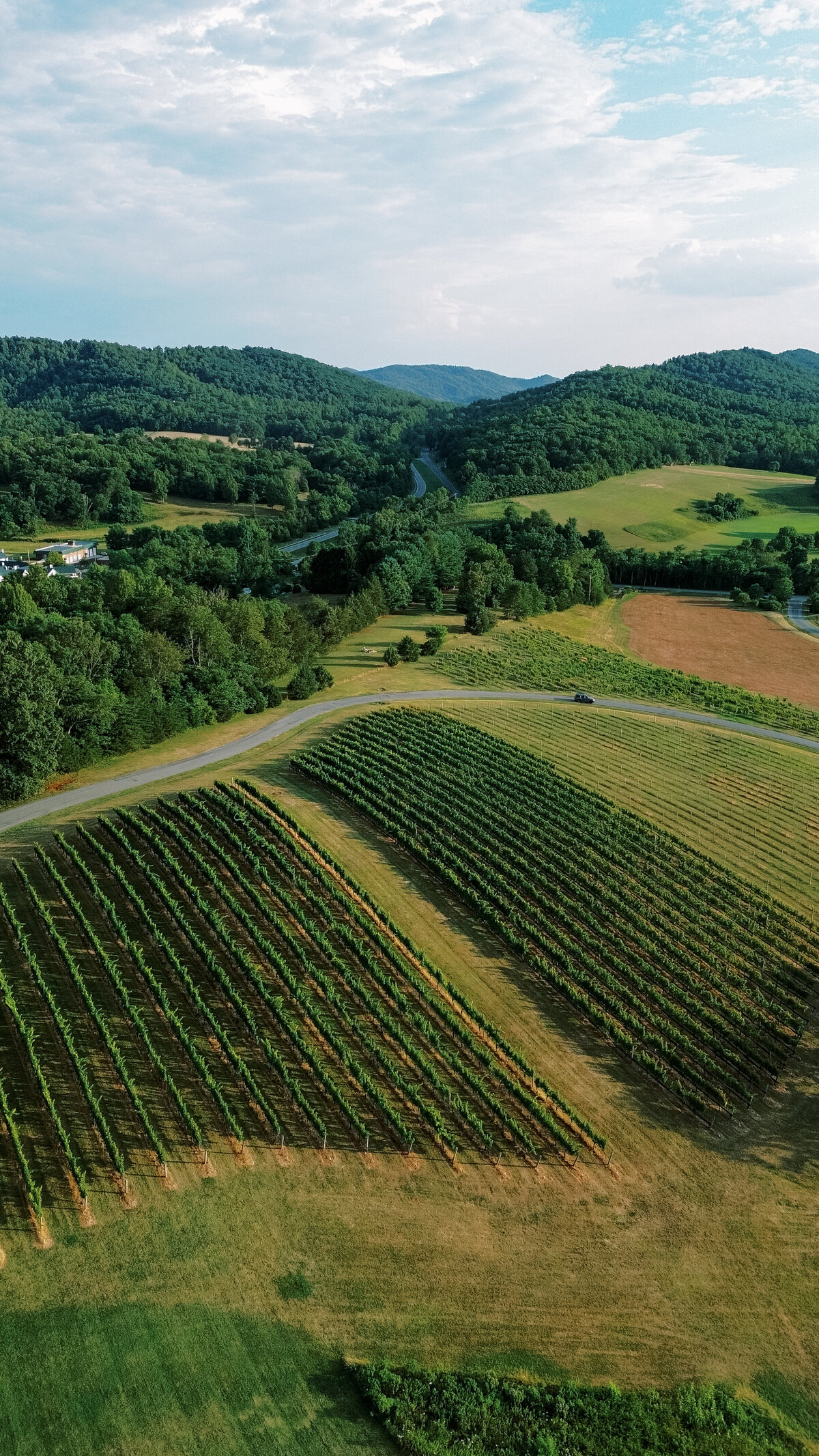 Pippin Hill Virginia Wedding Photographer_0042