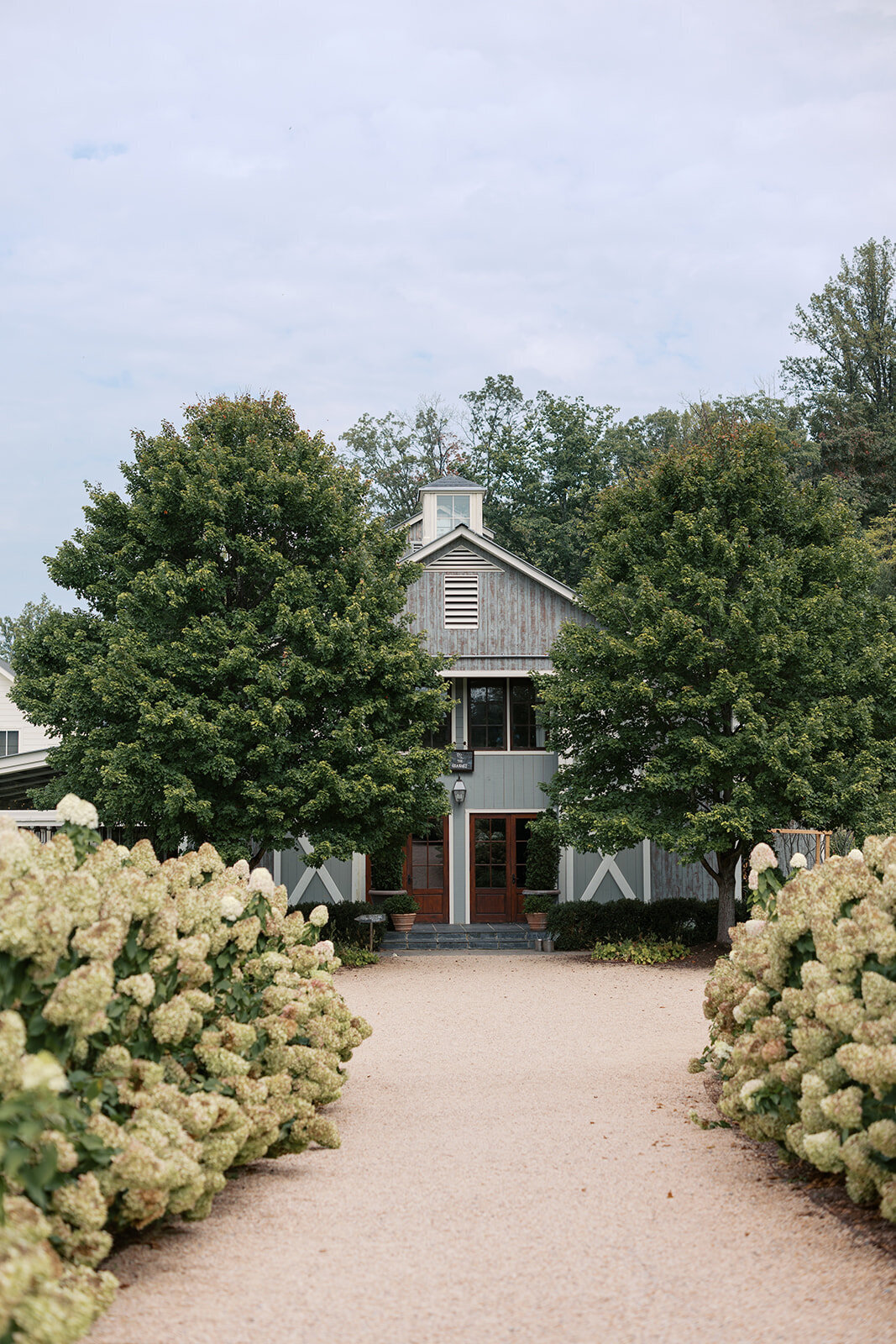 Pippin Hill Wedding Photographer_1