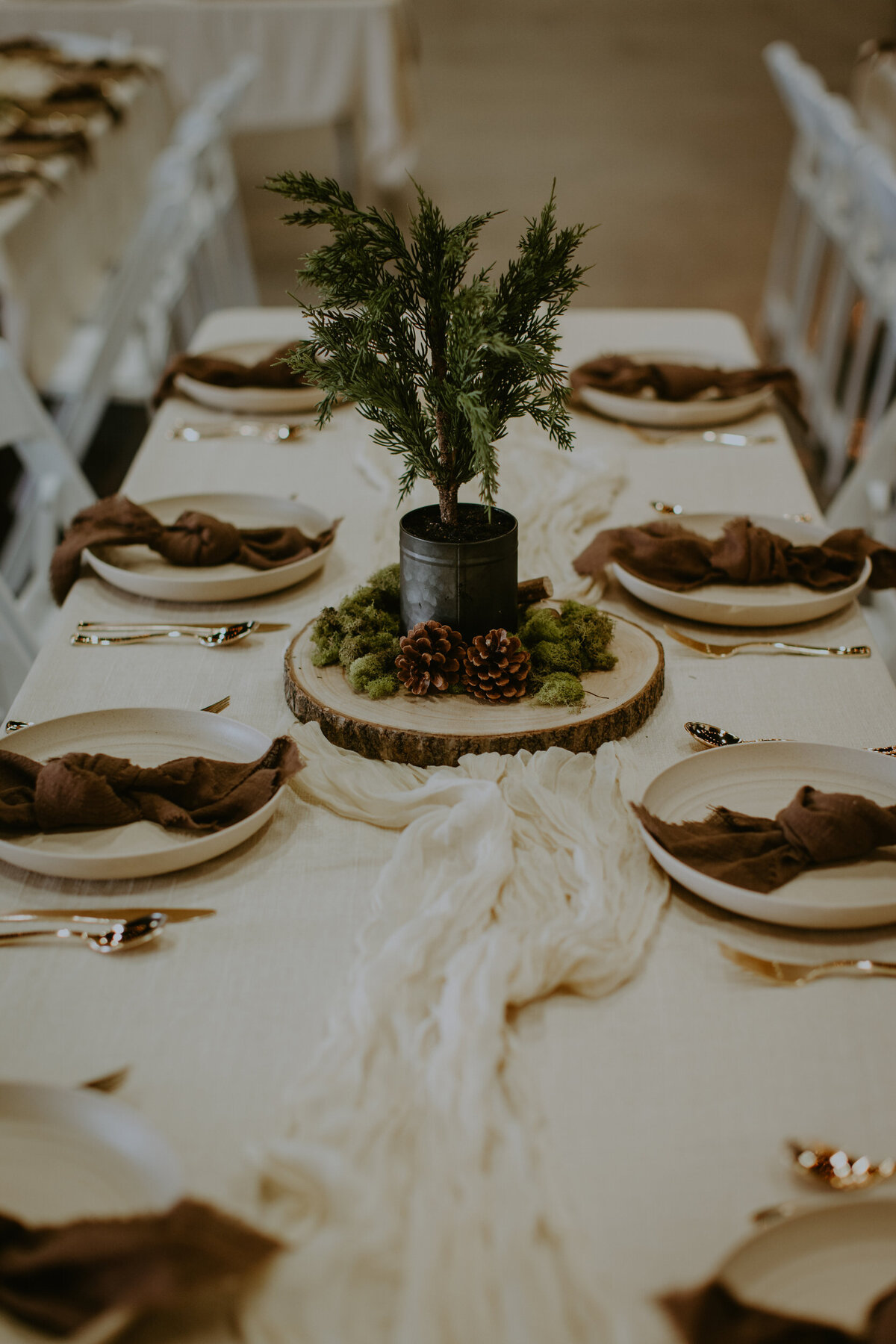 Mayes Baby Shower -  Linens, plates, napkins, runner, centerpieces(2)