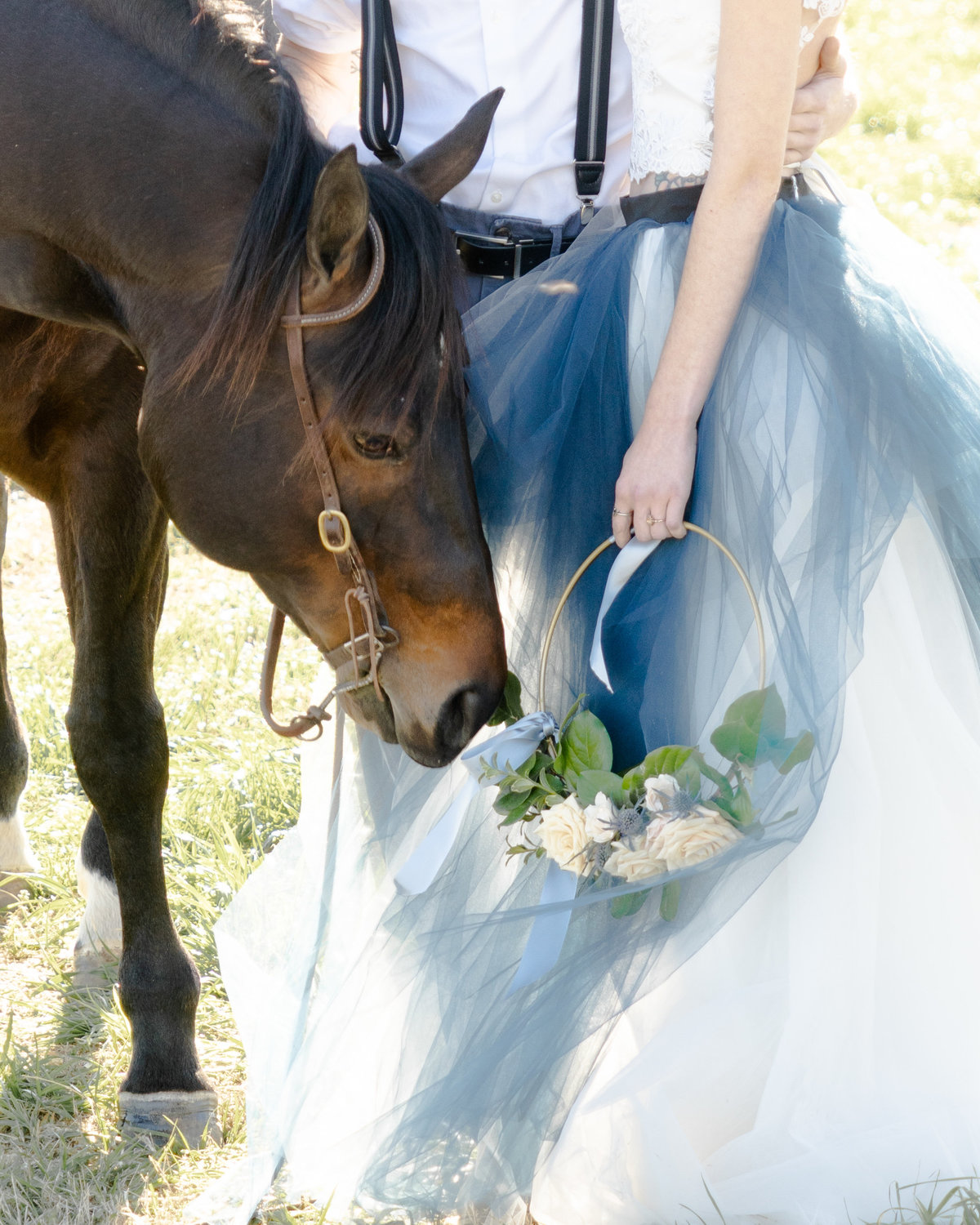 Horse smelling the roses on the bride's hoop bouquet of light pink roses