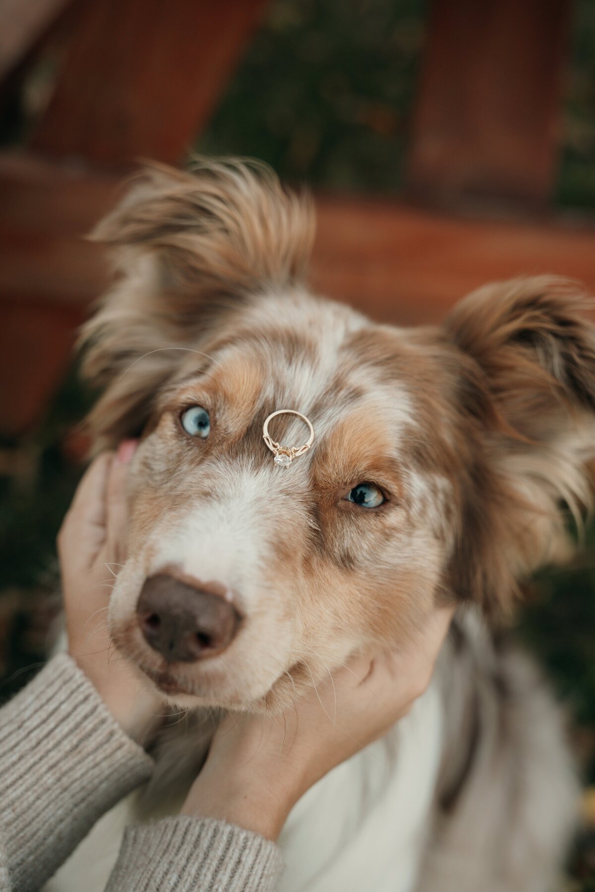 StephHunterEdits-020 Resize