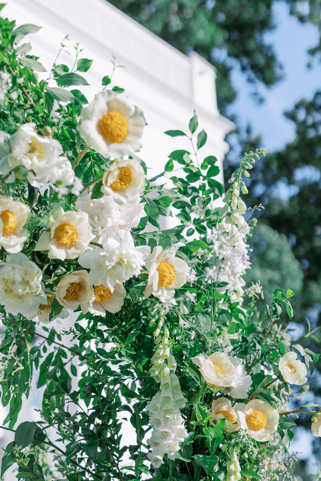 KatieTraufferPhotography-MaggieandNicoWedding-477
