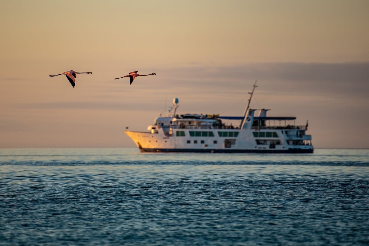 Waterstone - Metropolitan Touring- Ecuador - Luxury Destination Management Services - Las B_F6jP