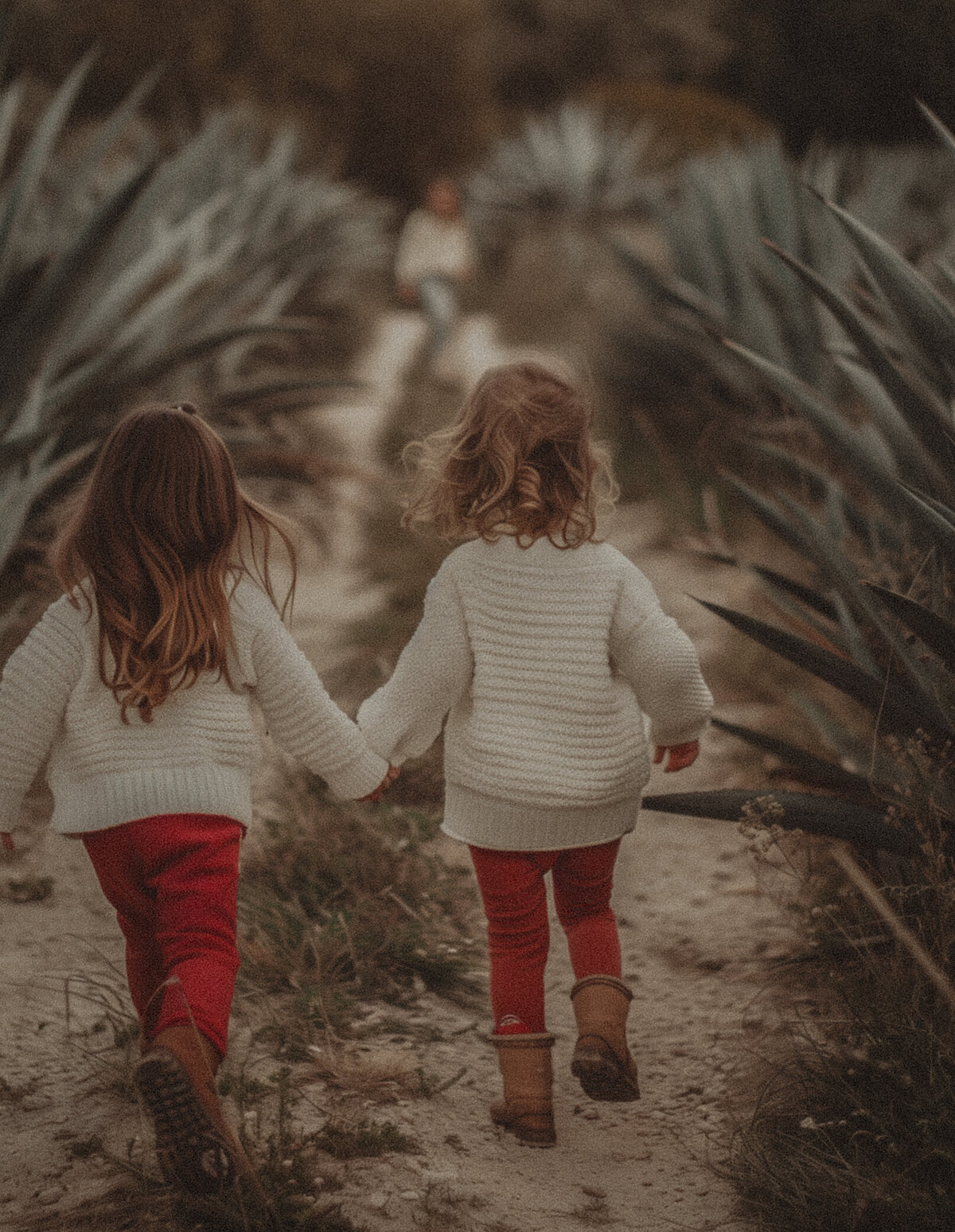 ed76a8d9-f6e7-4207-8dec-945dc2559d22