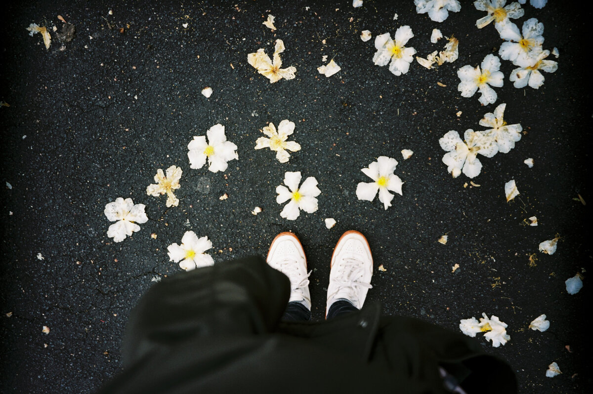 sydney-wedding-film-photographer-87