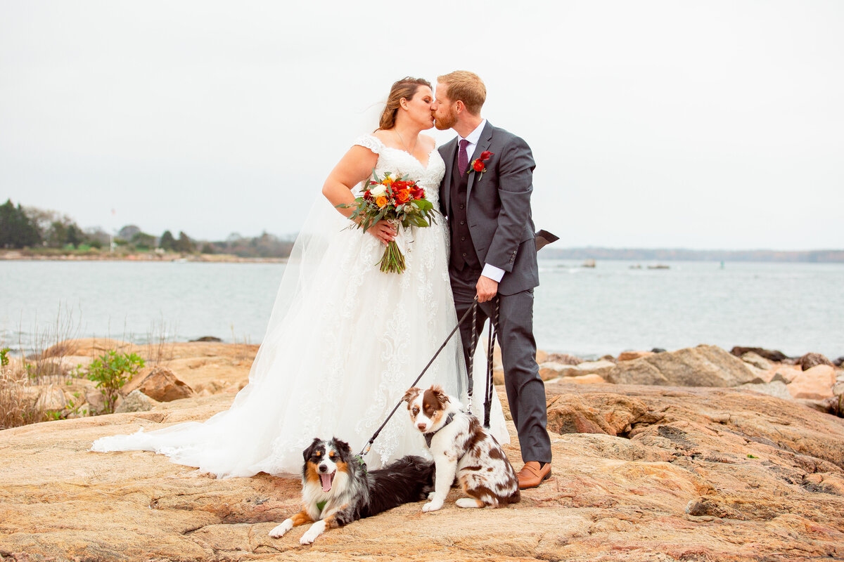 Couple kiss on their wedding day while holding their dogs in Stonington, CT.